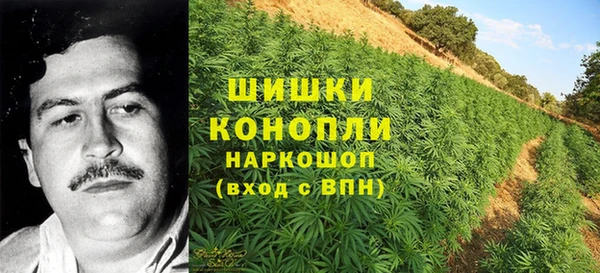 мескалин Новозыбков