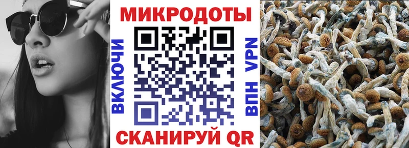 Псилоцибиновые грибы ЛСД  где можно купить   omg tor  Саратов 