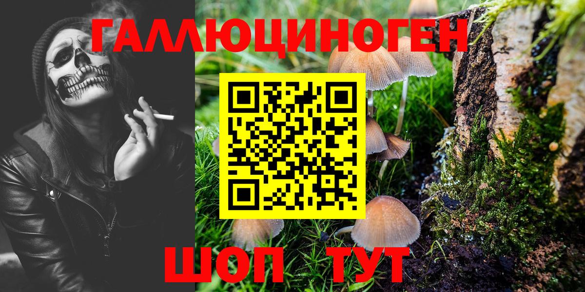 магазин  наркотиков  Вход с VPN  Саратов  Галлюциногенные грибы Psilocybe 